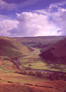 Click here to see Swaledale from Crackpot Hall Postcard in more detail